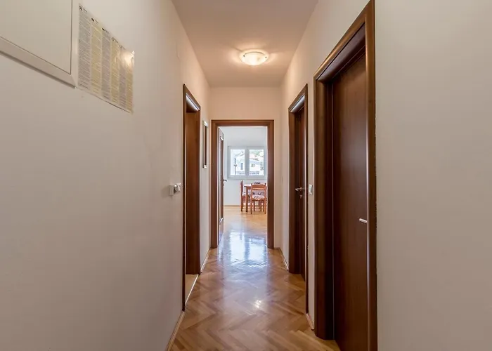 Apartmán Vidovac *